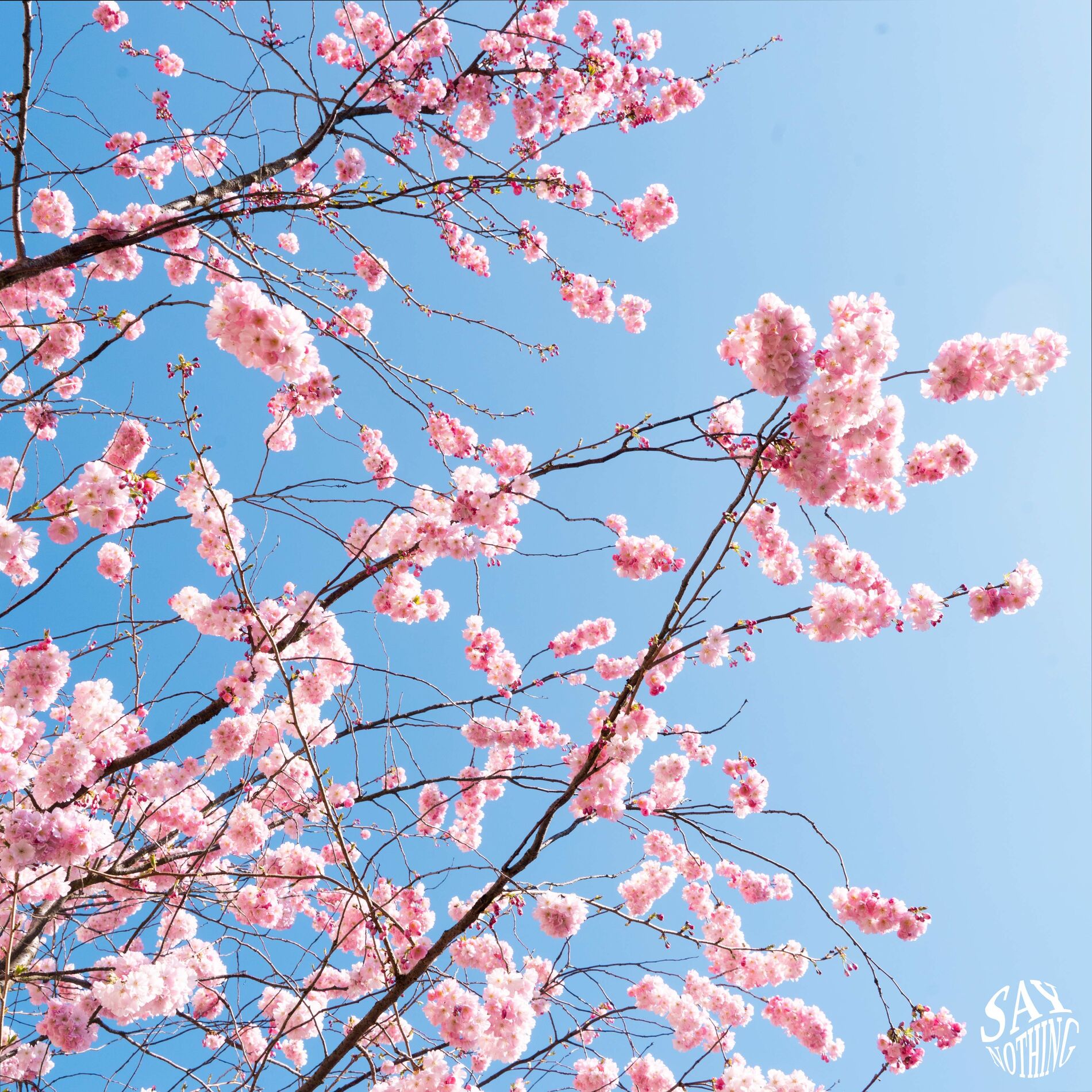 Album cover of It's Okay