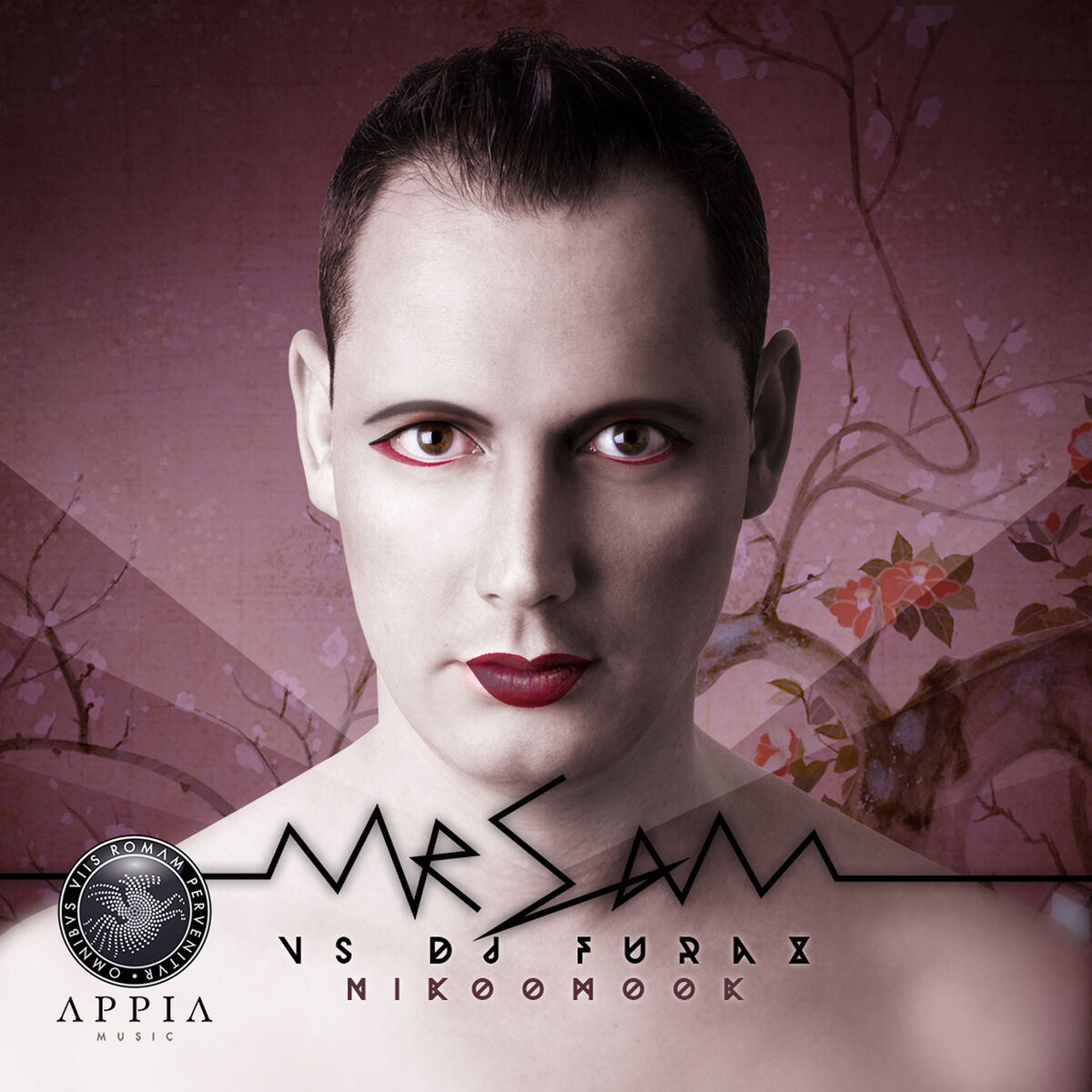 Album cover of Nikoomook