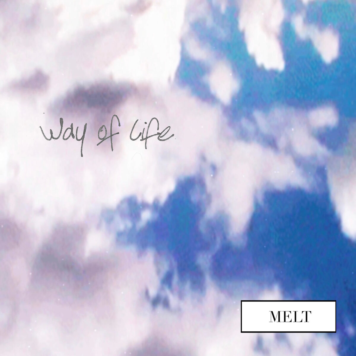 Album cover of Way of Life