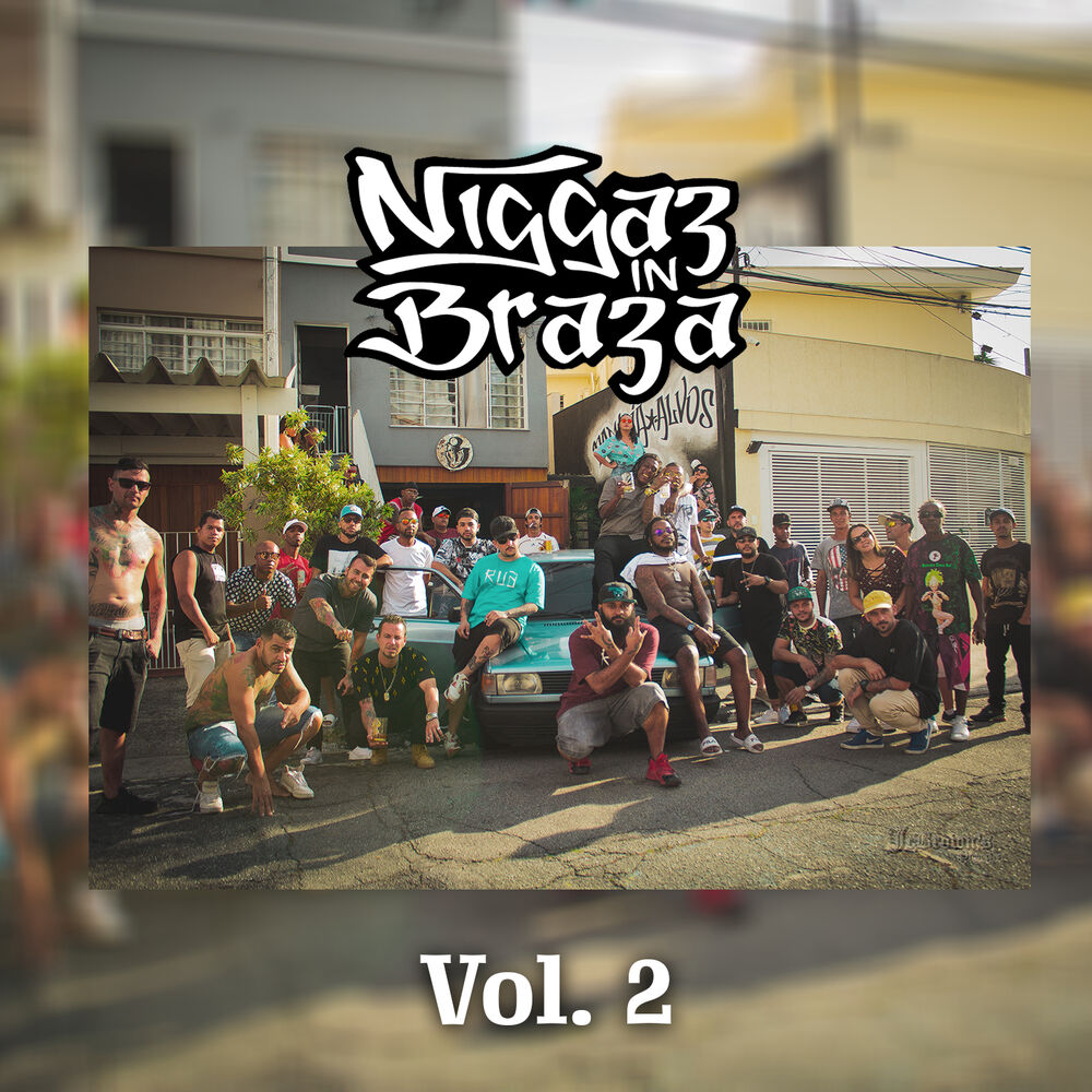 Picture of Niggaz in Braza, Vol. 2