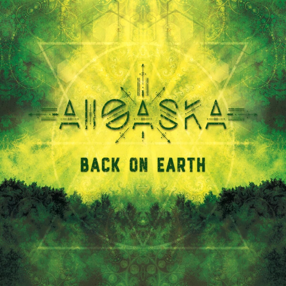 Album cover of Back On Earth