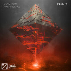 Cover of Feel It