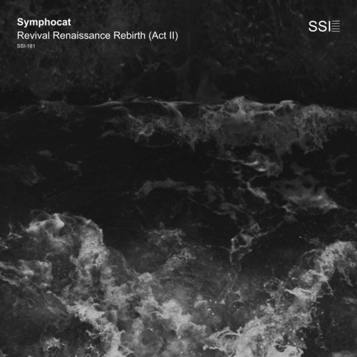 Album cover of Revival Renaissance Rebirth (Act 2)