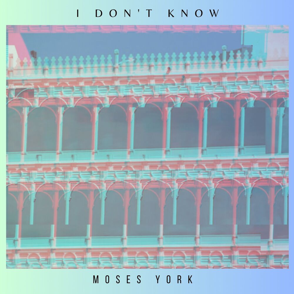 Picture of I Don't Know