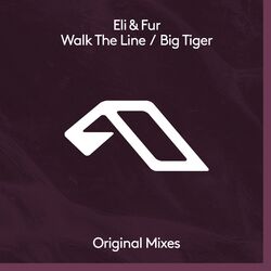 Cover of Walk The Line / Big Tiger
