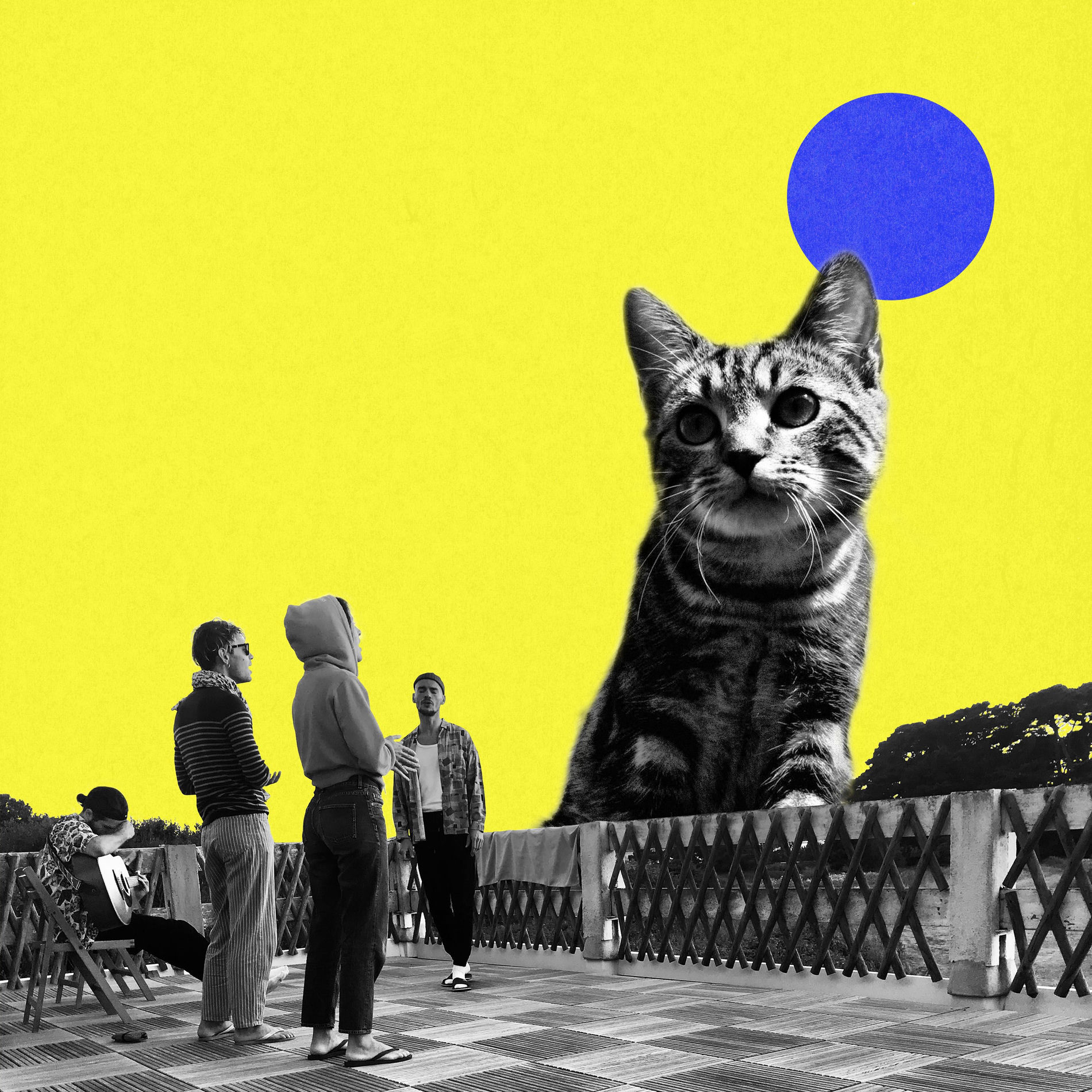 Album cover of cinco con el gato