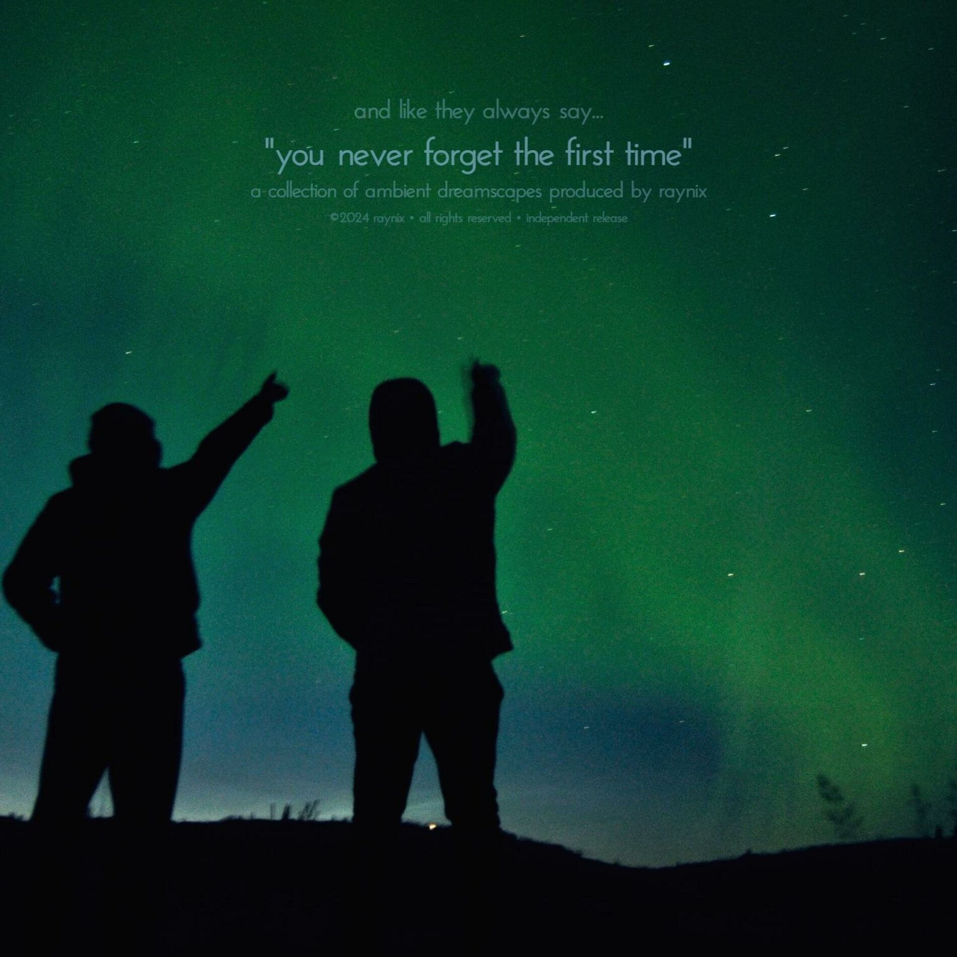 Album cover of you never forget the first time
