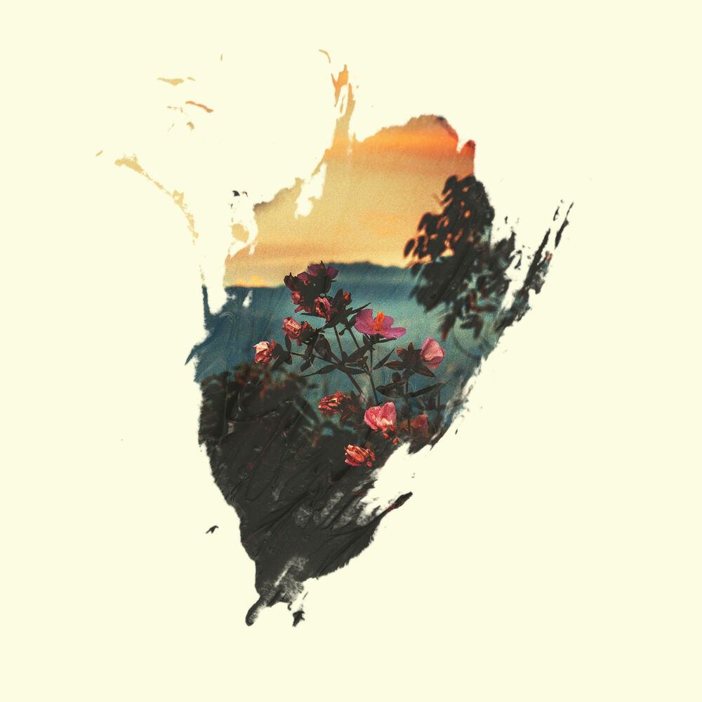 Picture of Daylight