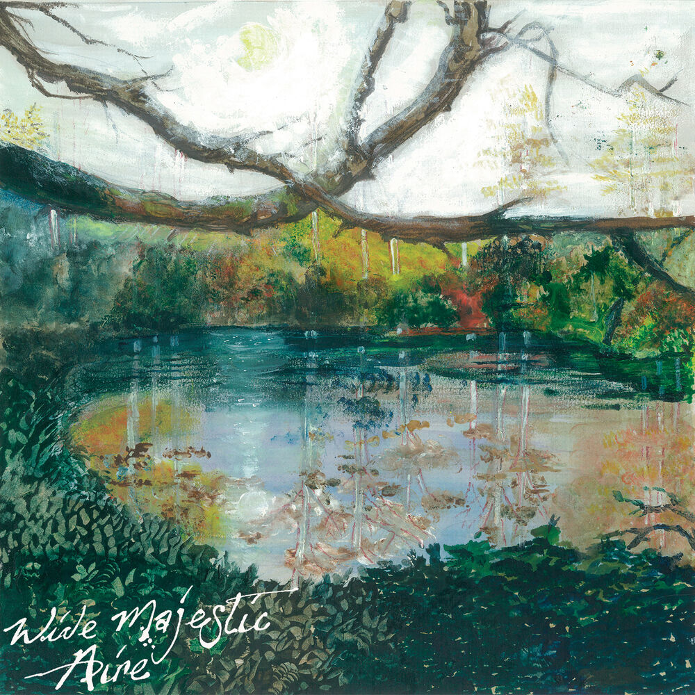 Picture of Wide Majestic Aire