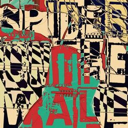 Cover of Spider on the Wall