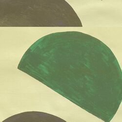 Cover of Thermae