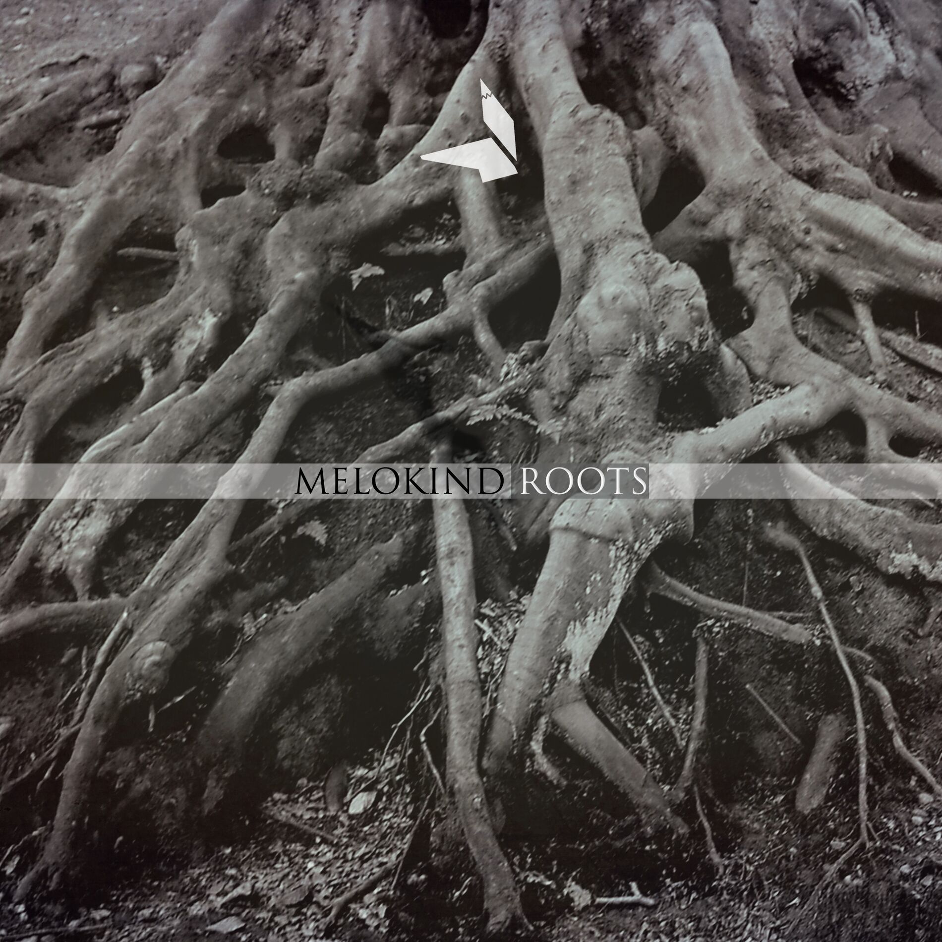 Album cover of Balance