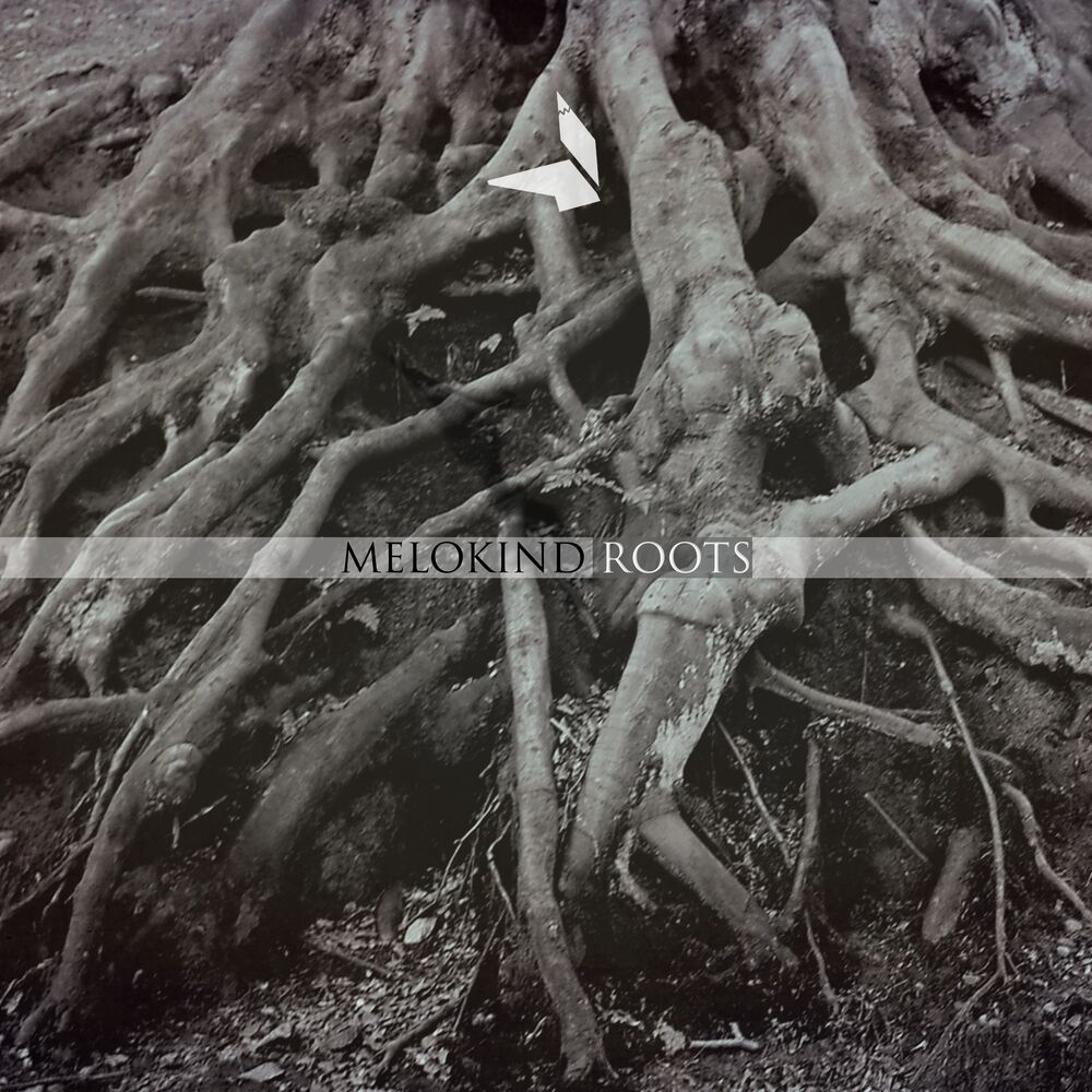 Picture of Roots