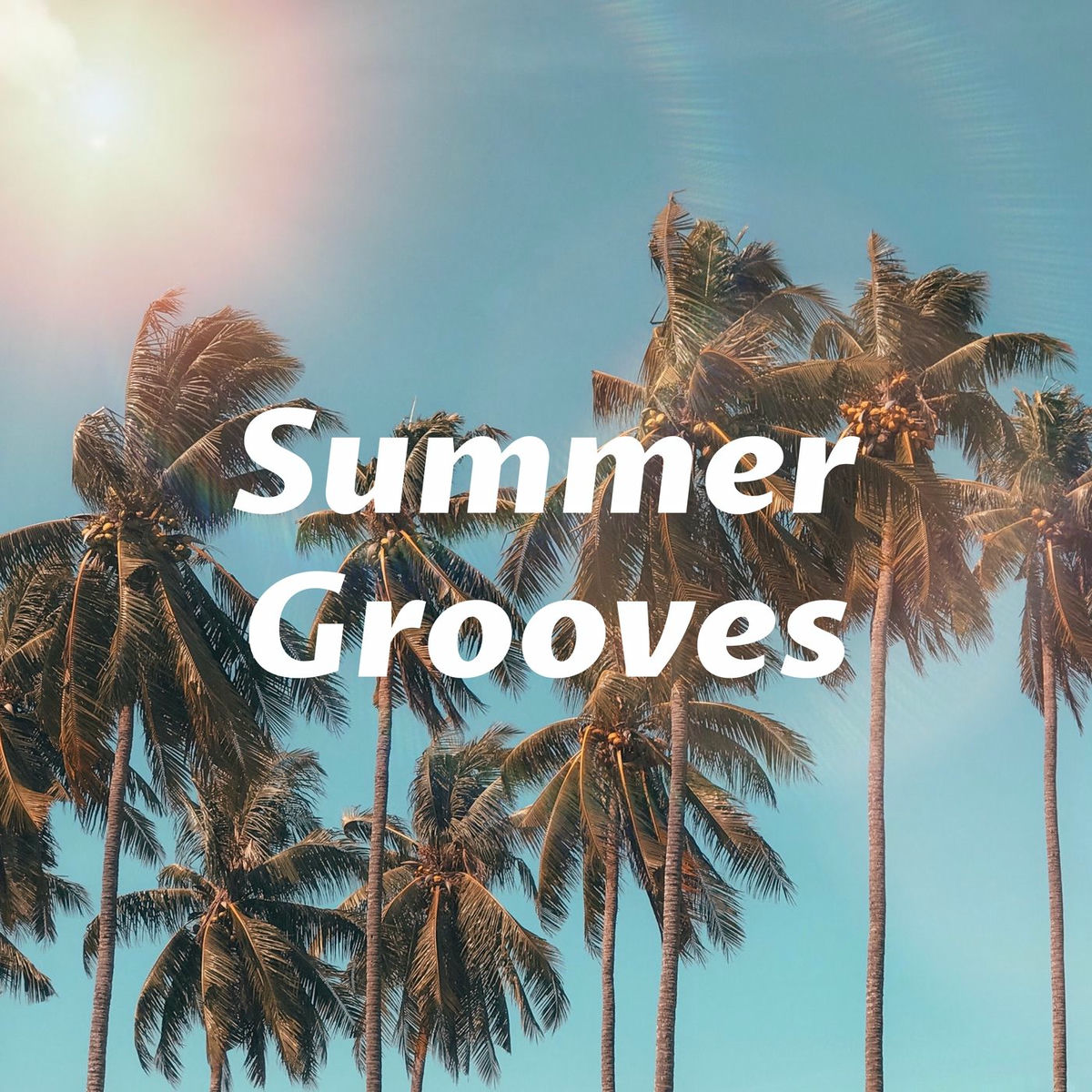 Album cover of Summer Grooves