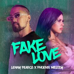 Cover of Fake Love