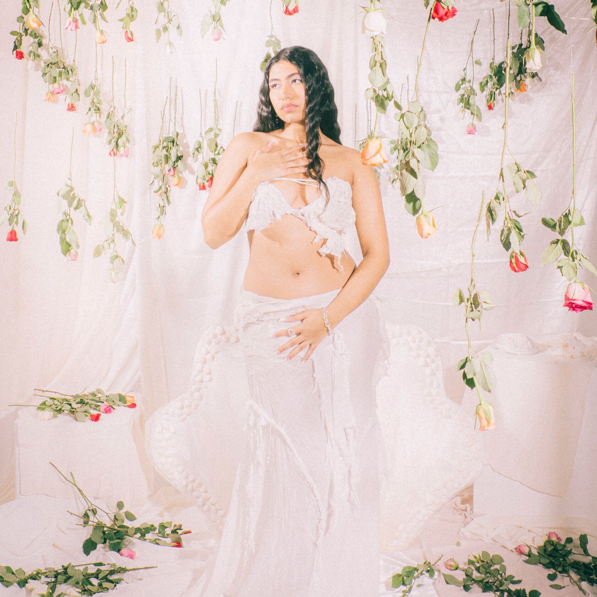 Album cover of Venus