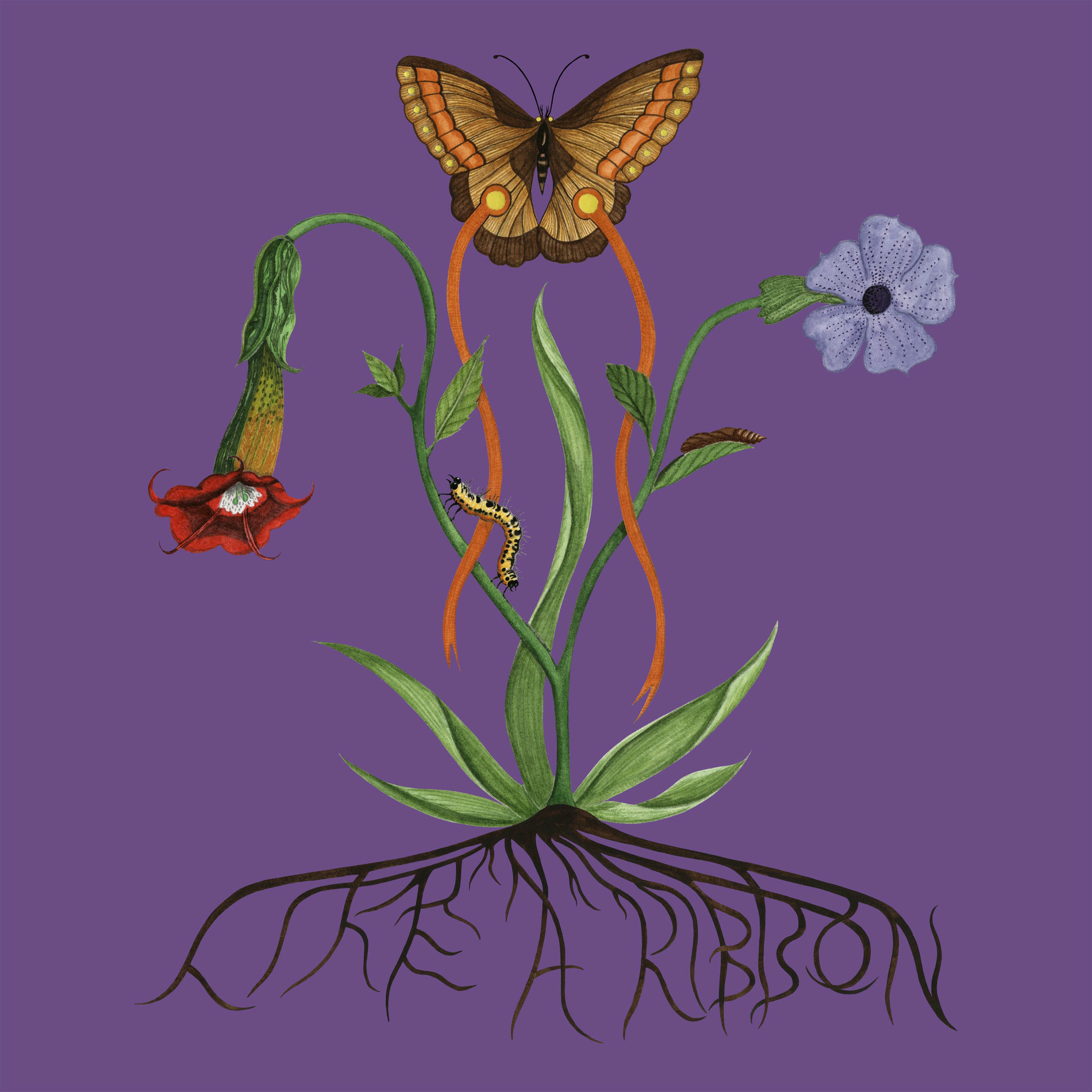 Album cover of Fly With Me