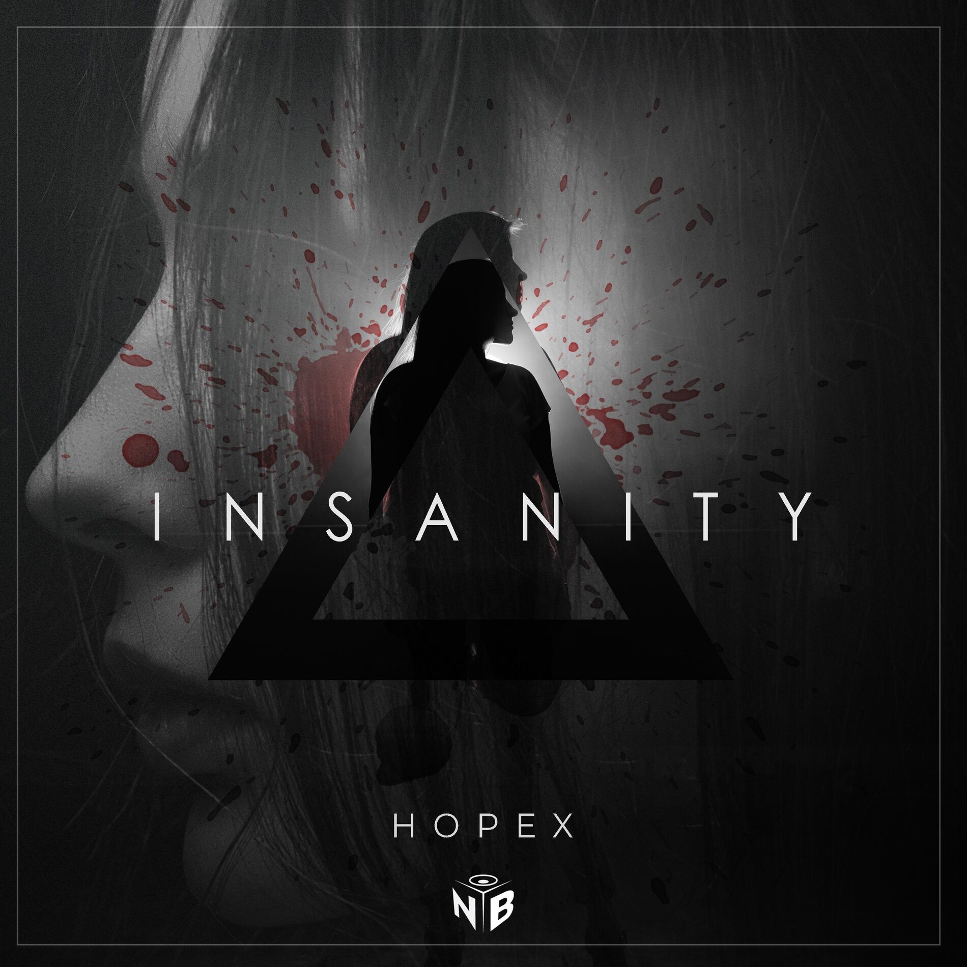 Album cover of Insanity