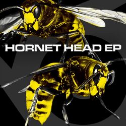 Cover of Hornet Head EP