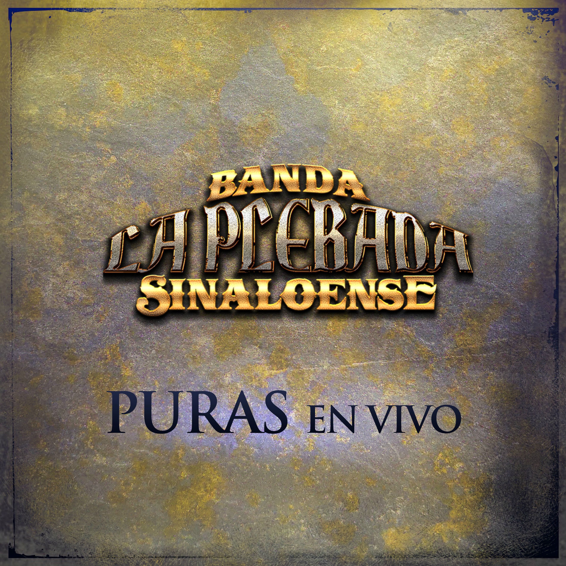 Album cover of Puras En Vivo