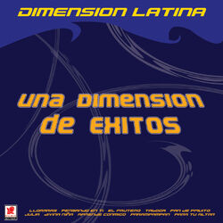 Cover of Una Dimensión De Éxitos