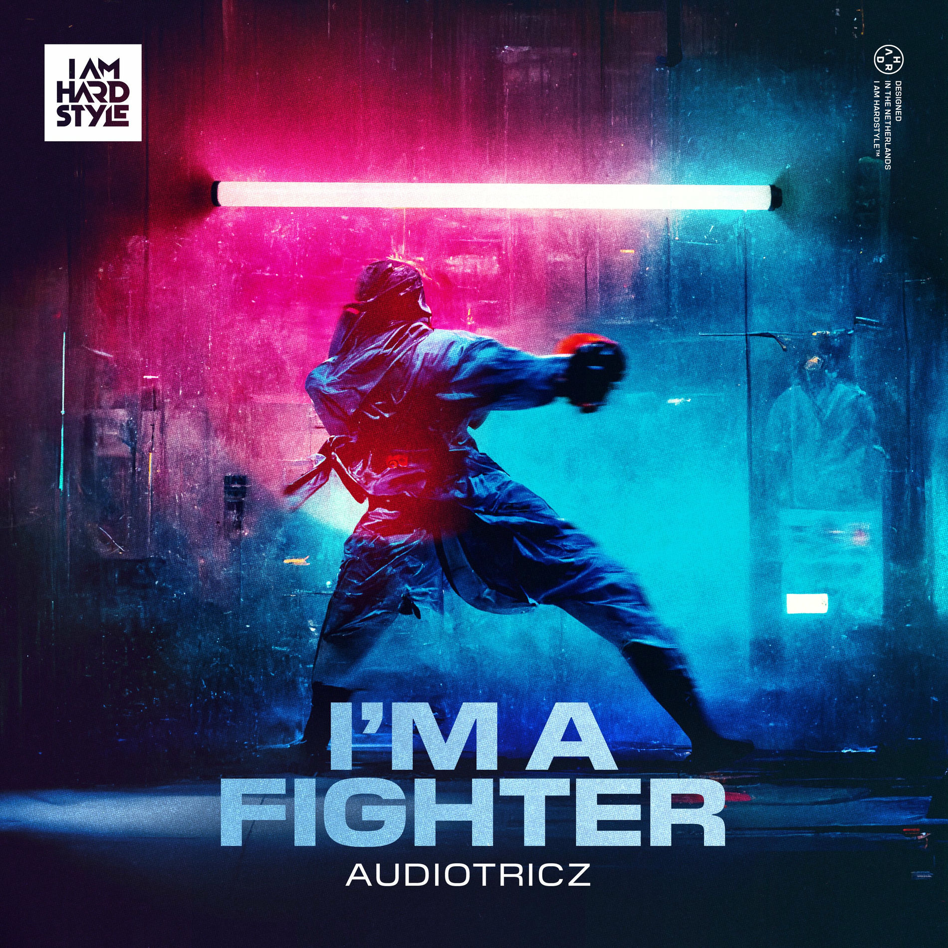 Album cover of I'm A Fighter