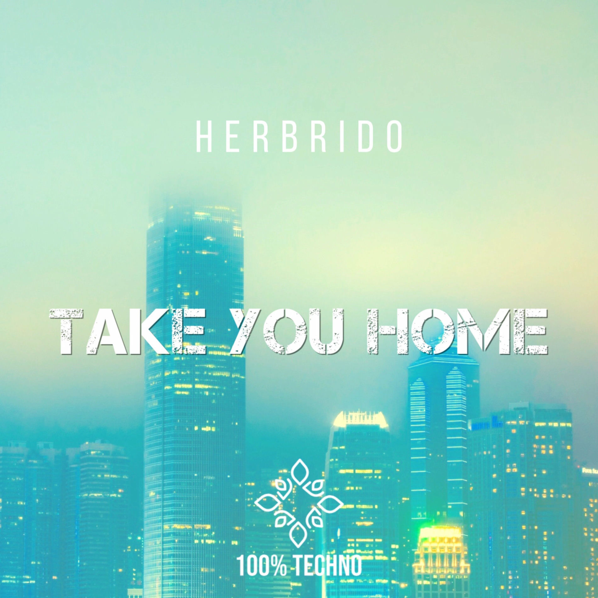 Album cover of Take You Home