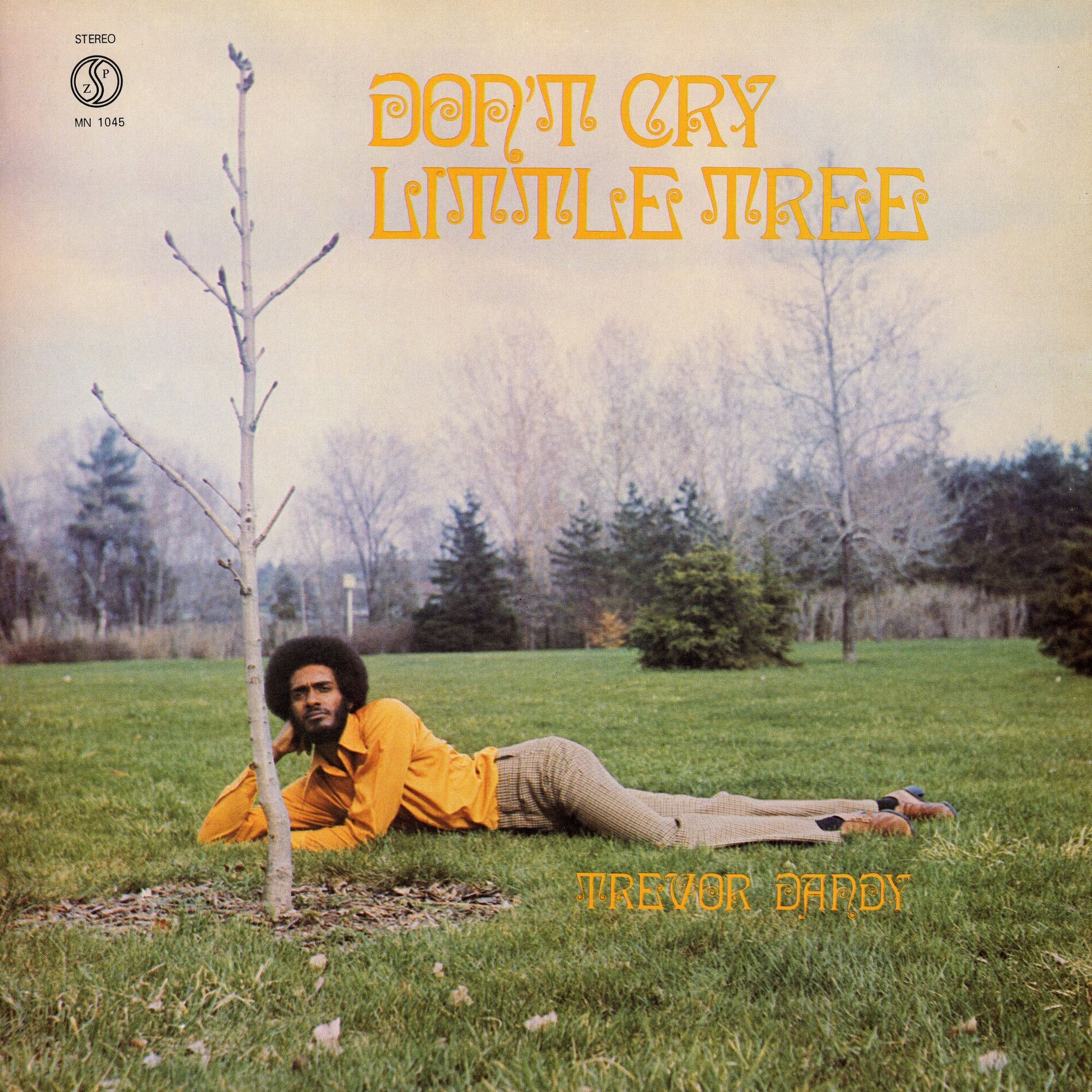 Album cover of Don't Cry Little Tree