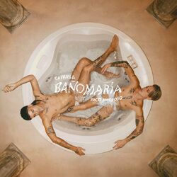 Cover of BAÑO MARÍA
