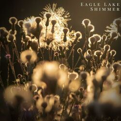 Cover of Shimmer