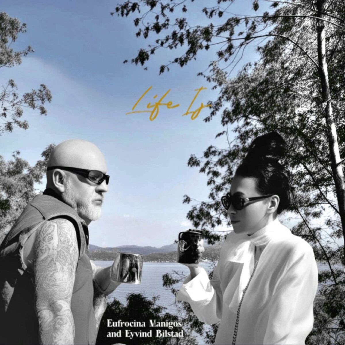 Album cover of Life Is