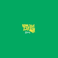 Cover of Low Self Esteem