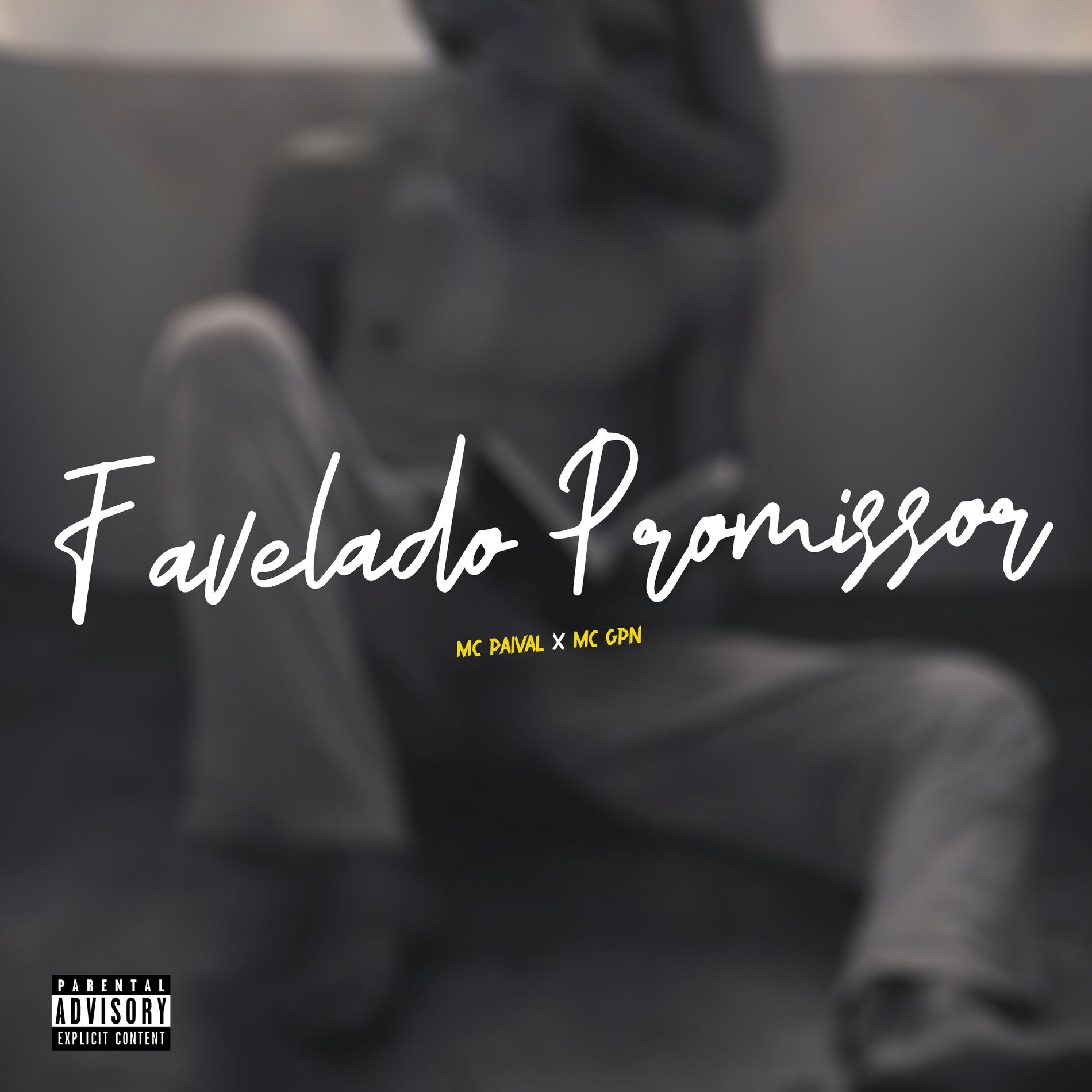 Album cover of Favelado Promissor
