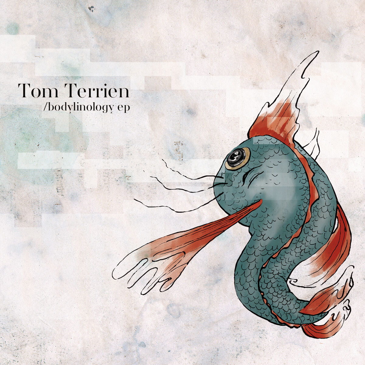 Album cover of Bodylinology