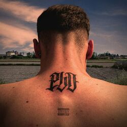 Cover of PLD