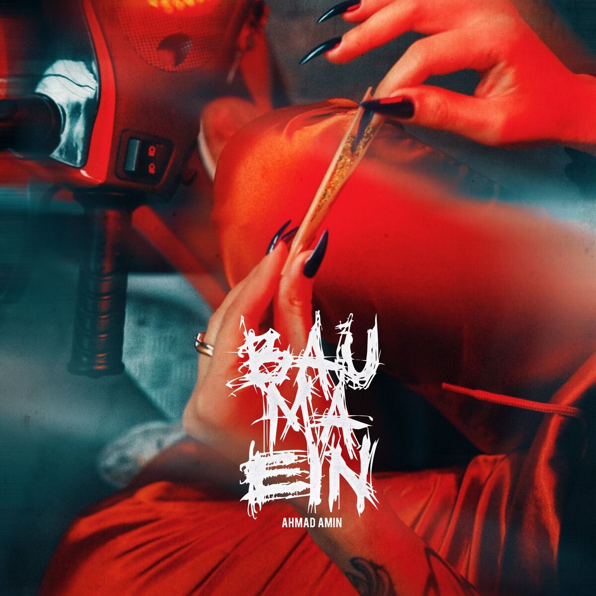 Album cover of Bau ma ein