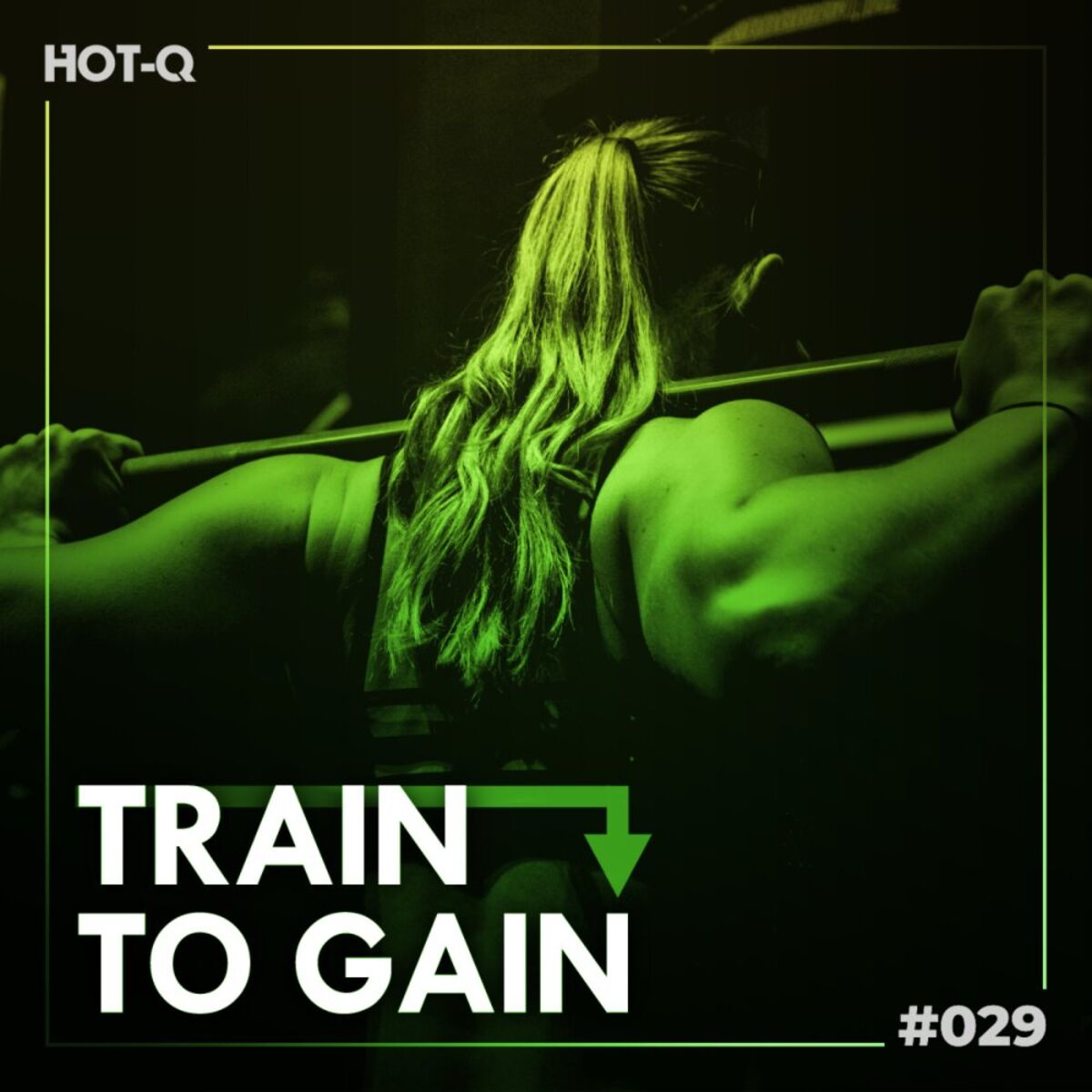 Album cover of Train To Gain 029
