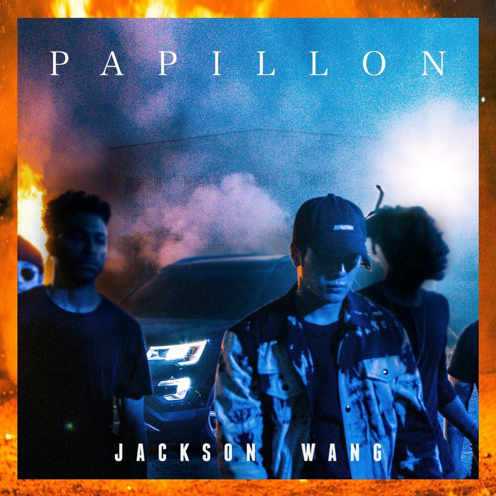 Picture of Papillon