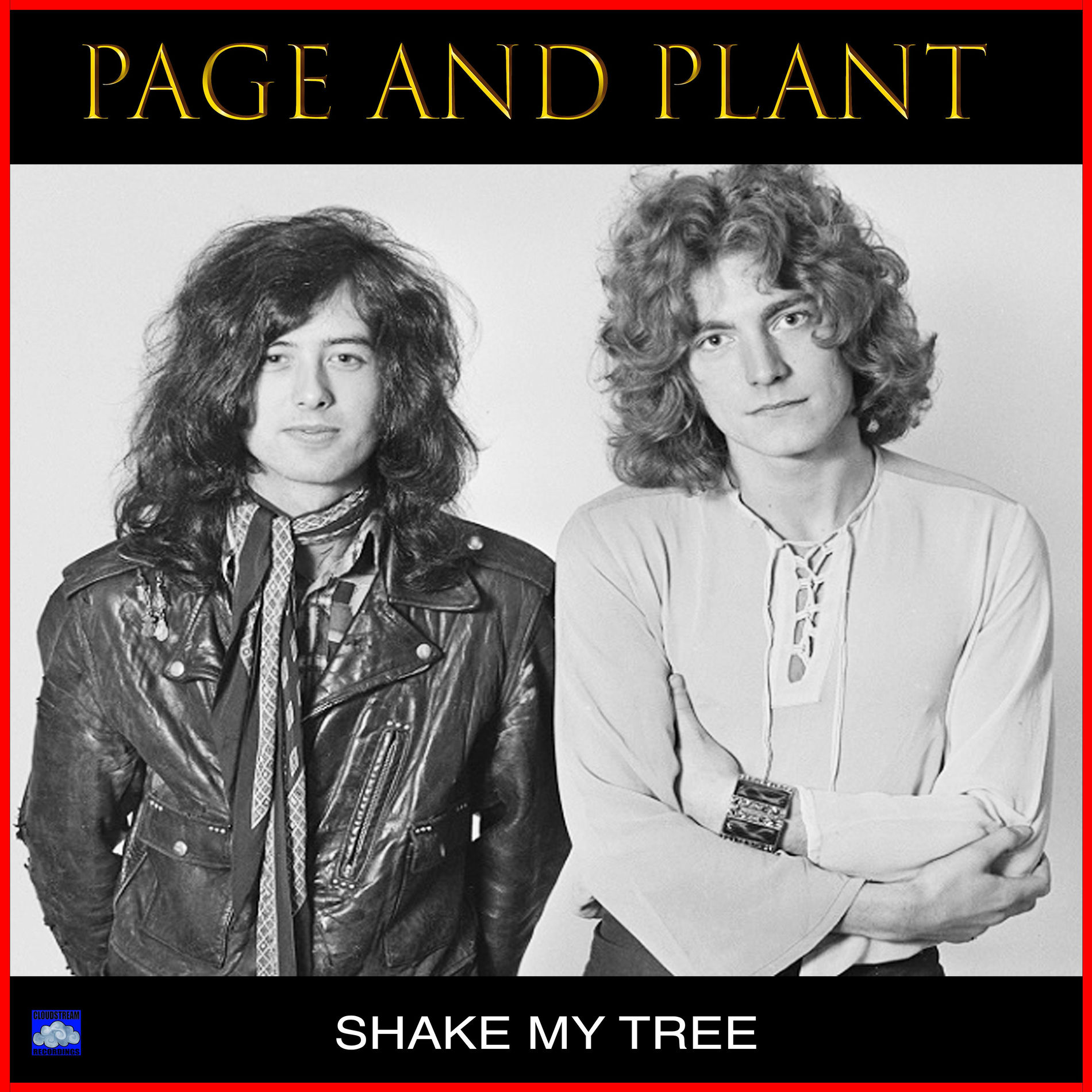 Album cover of Shake My Tree