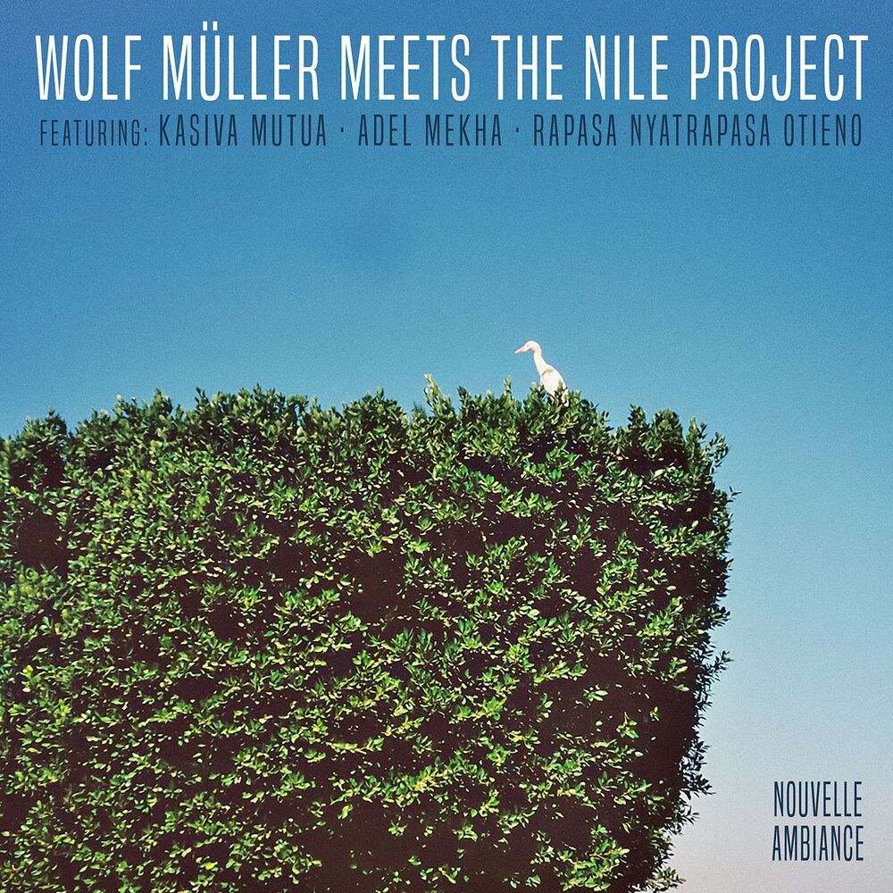 Picture of Wolf Müller Meets The Nile Project