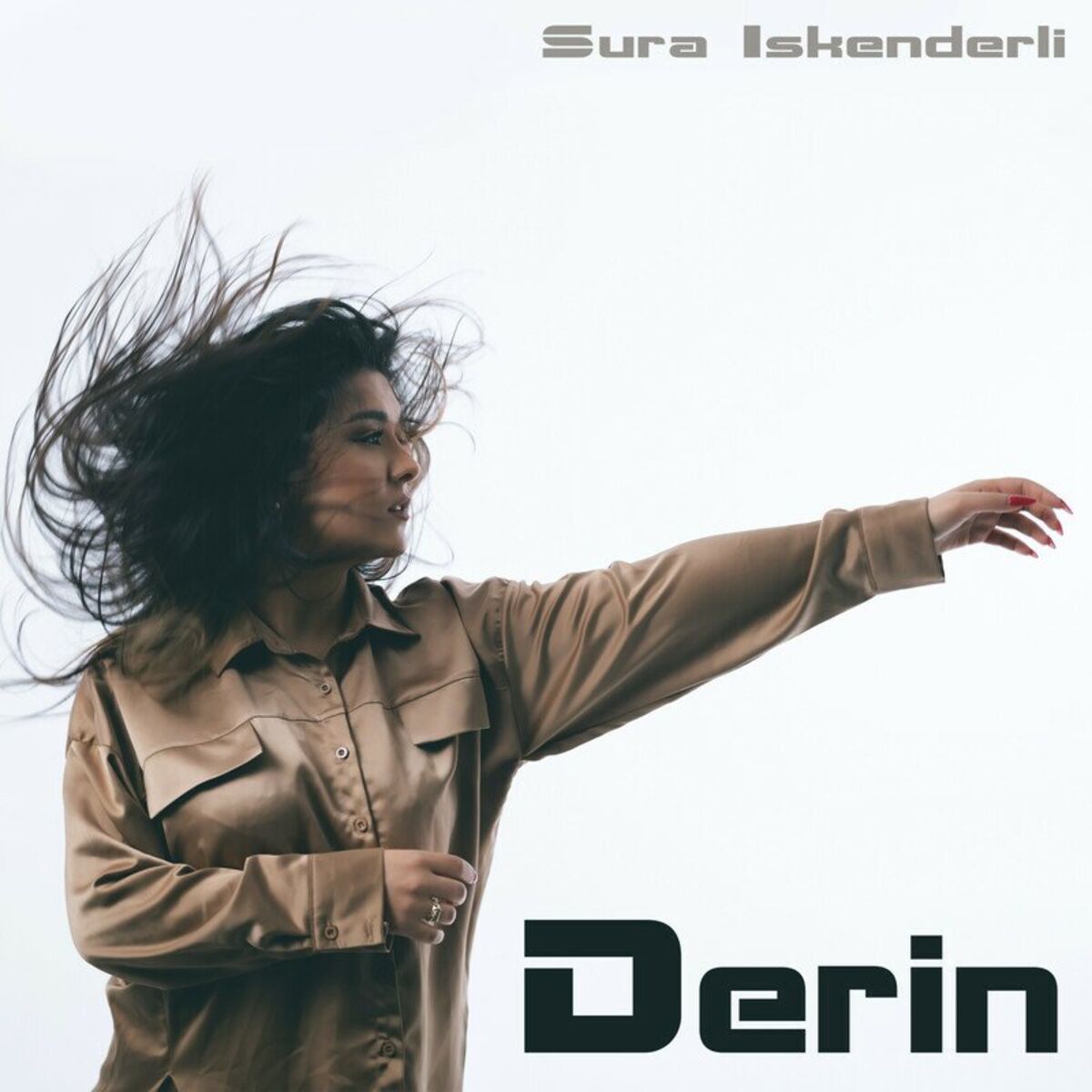 Album cover of Derin