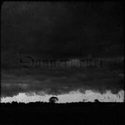 Cover of Donnerwetter