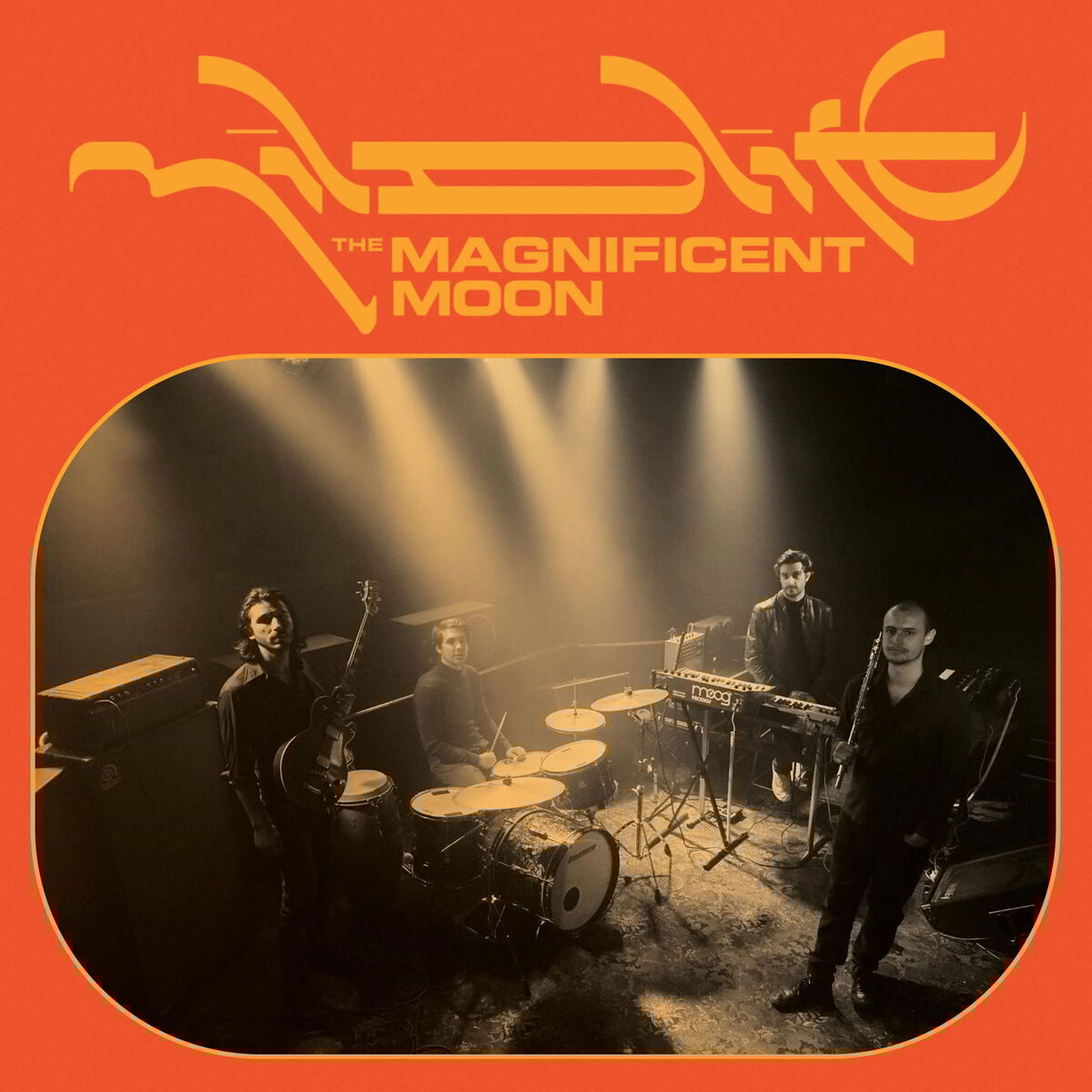 Album cover of The Magnificent Moon
