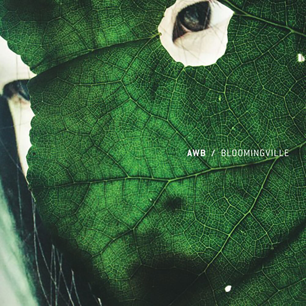 Picture of BLOOMINGVILLE