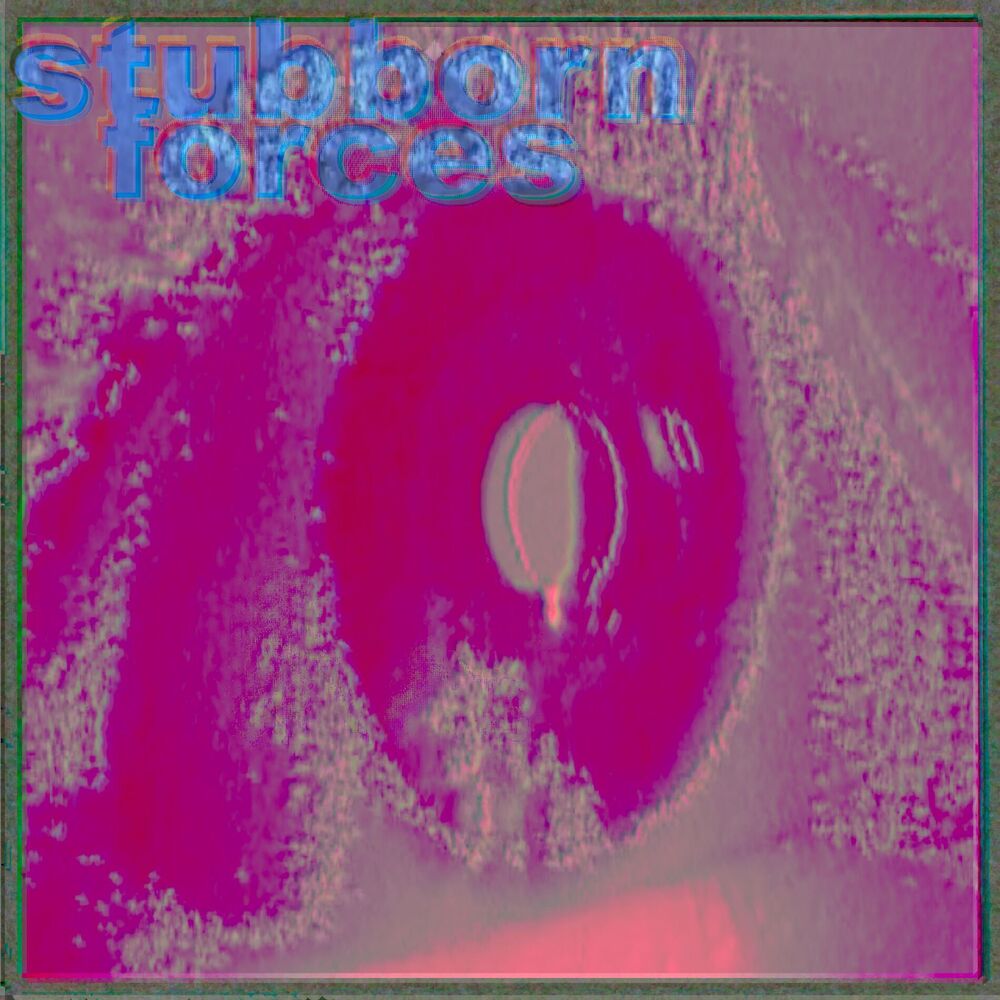 Picture of Stubborn Forces