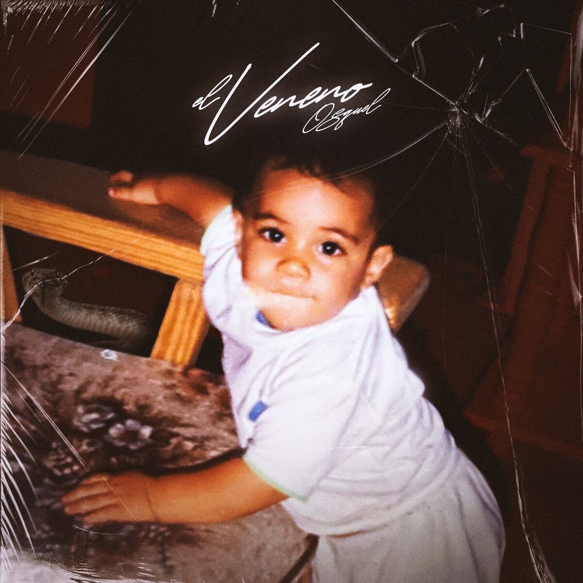 Album cover of El Veneno