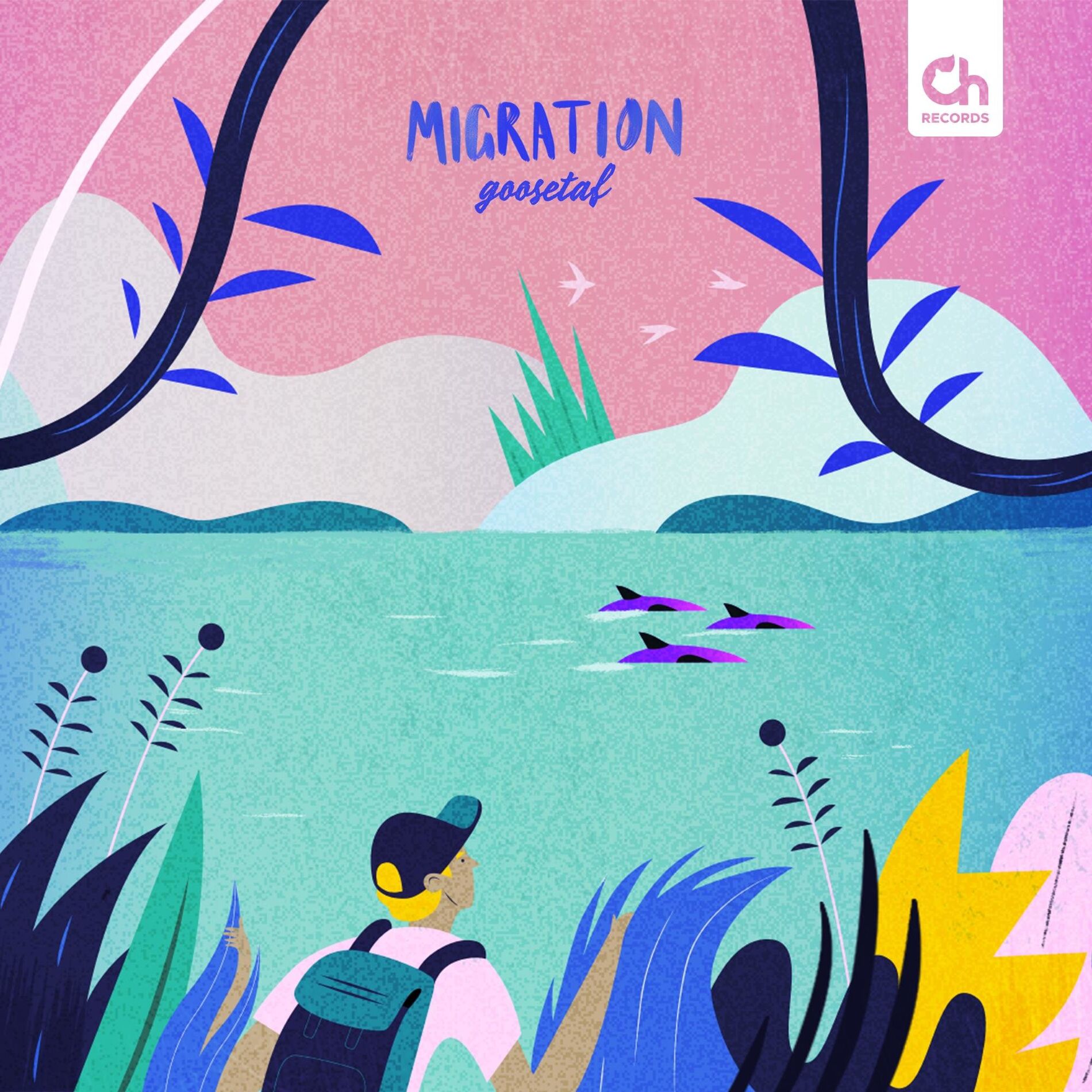 Album cover of Migration