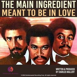 Cover of Meant to Be in Love