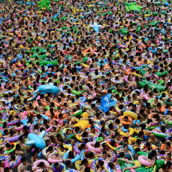 Cover of Giants of All Sizes