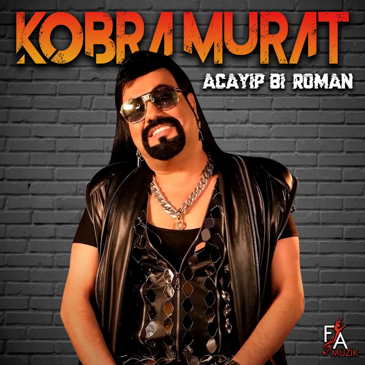 Album cover of Acayip Bi Roman